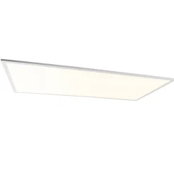 QAZQA Led Paneel Staal 120 Cm Incl. Led Met Afstandsbediening - Liv