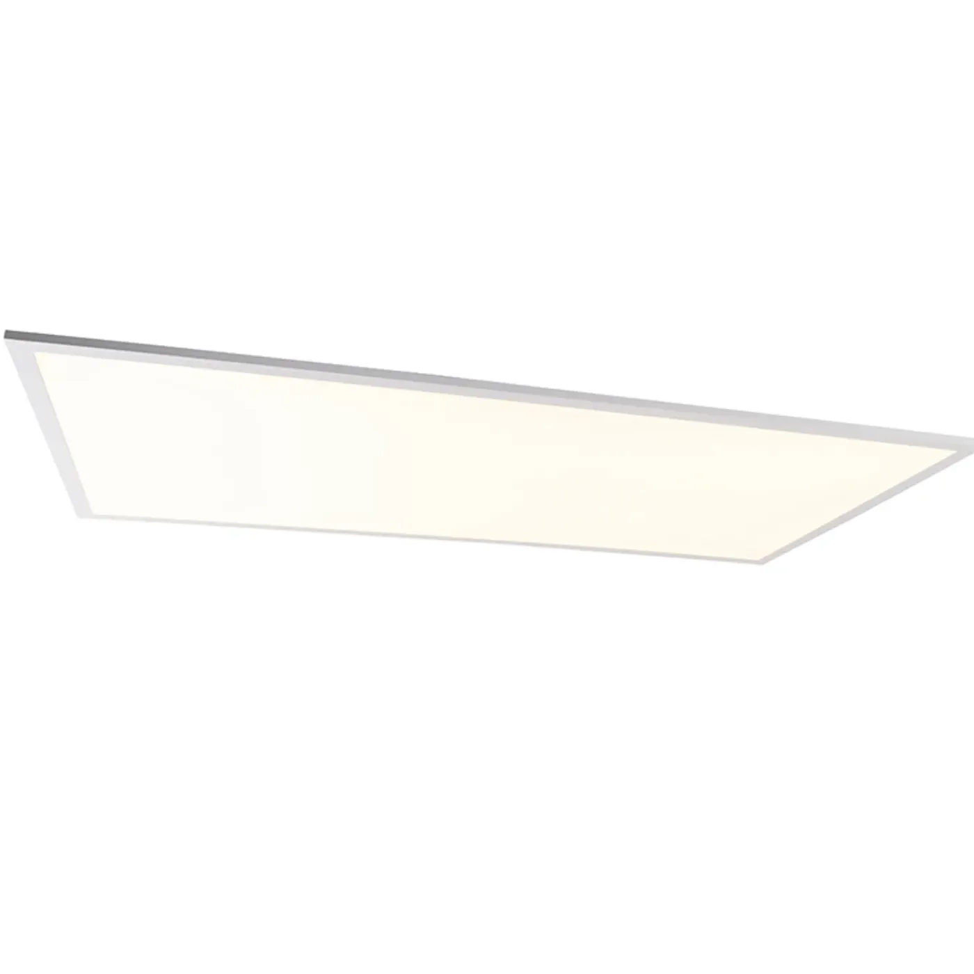 QAZQA Led Paneel Staal 120 Cm Incl. Led Met Afstandsbediening - Liv
