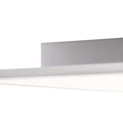 QAZQA Led Paneel Staal 120 Cm Incl. Led Met Afstandsbediening - Liv