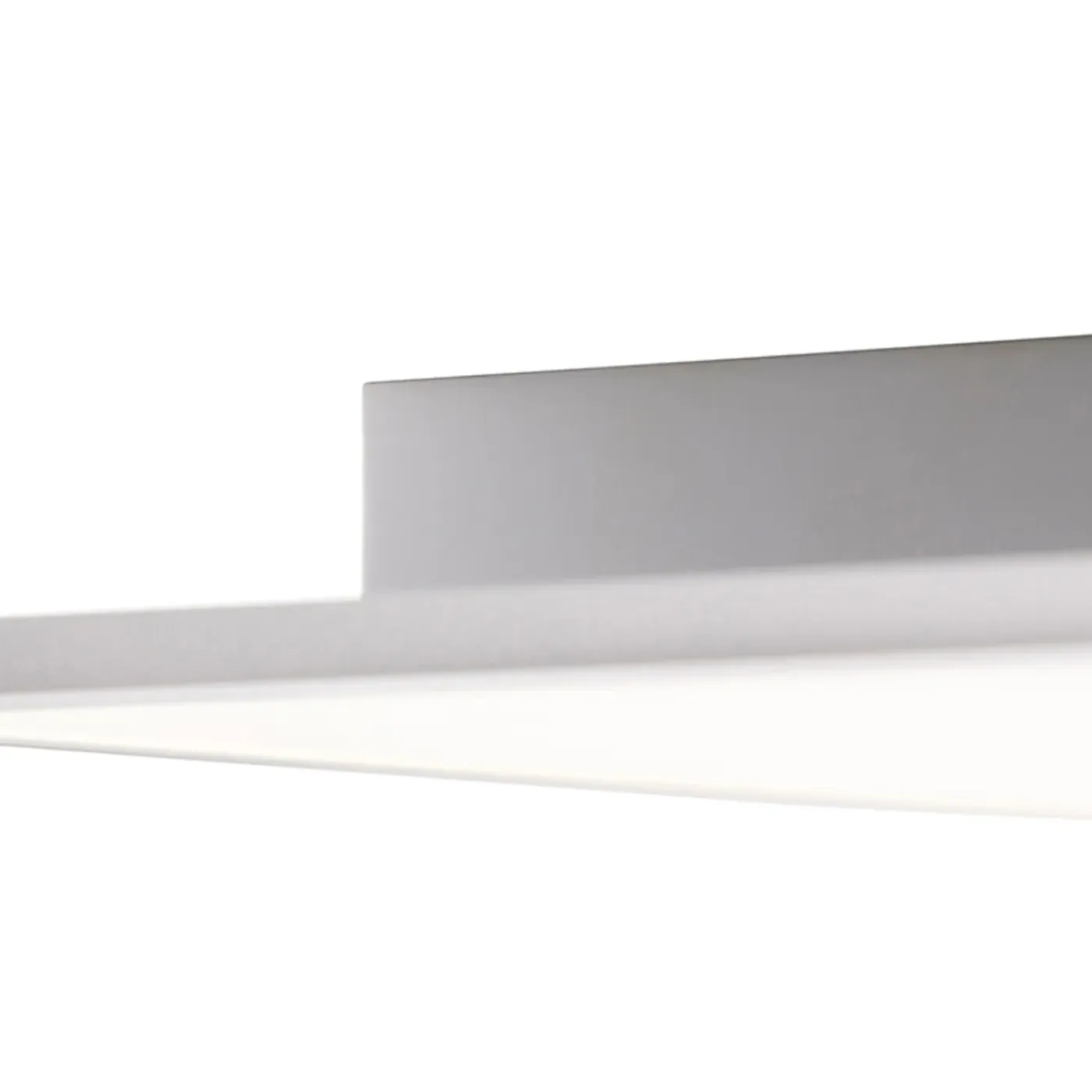 QAZQA Led Paneel Staal 120 Cm Incl. Led Met Afstandsbediening - Liv