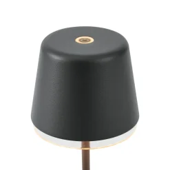 QAZQA Tafellamp Zwart Incl. Led Ip65 Oplaadbaar Met Laadstation - Treble
