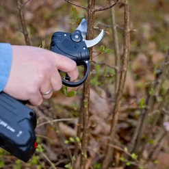 Qlt Elektrische Snoeischaar Met Accu 21 V 1500 Mah - Zwart