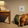 Ring Alarm 5-delige set