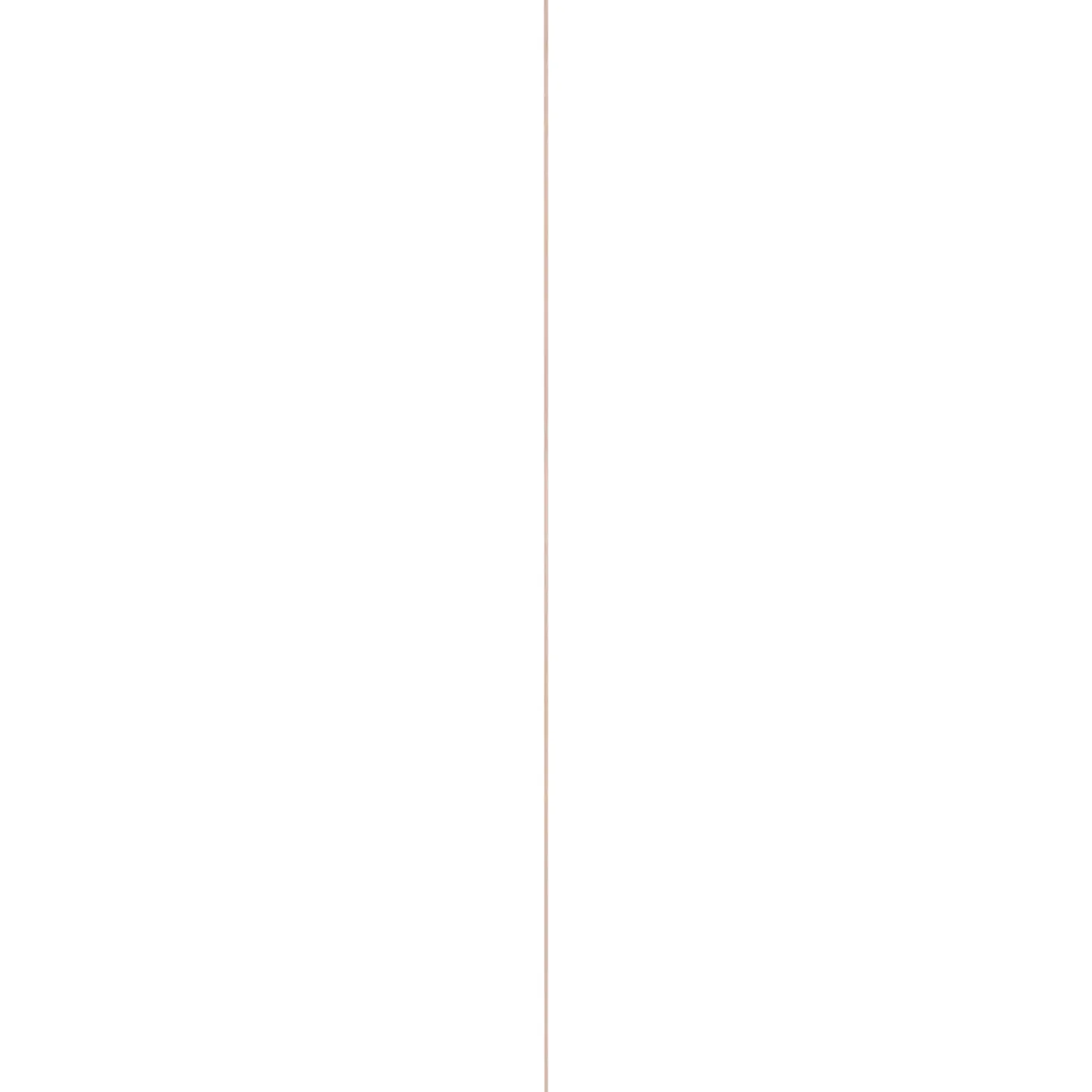 Overig Ronde stok - Grenen - Onbehandeld - Diameter 9mm - 270cm