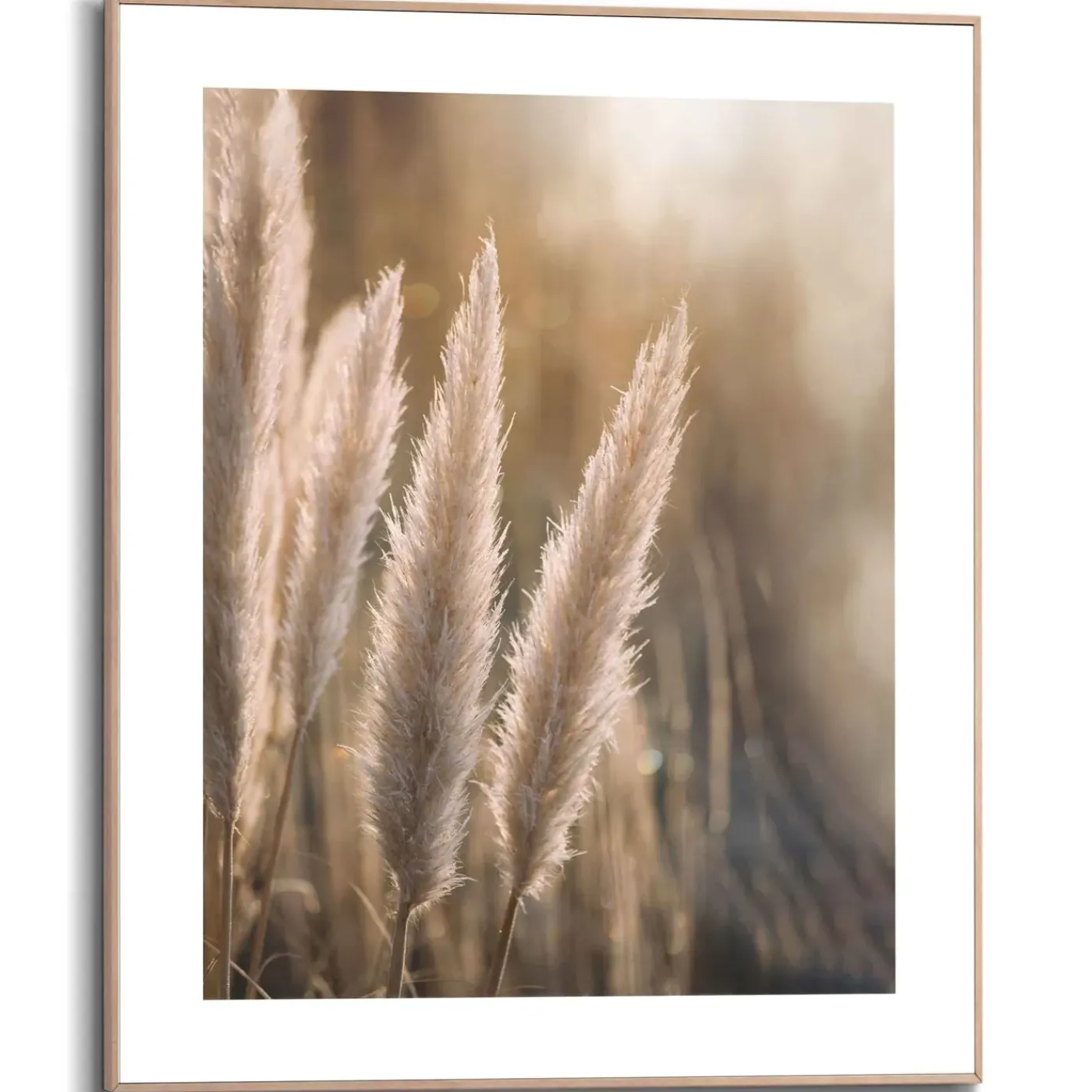Overig Schilderij Pampas - 40x50 cm - Zand - Hout