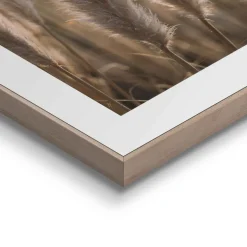 Overig Schilderij Pampas - 40x50 cm - Zand - Hout