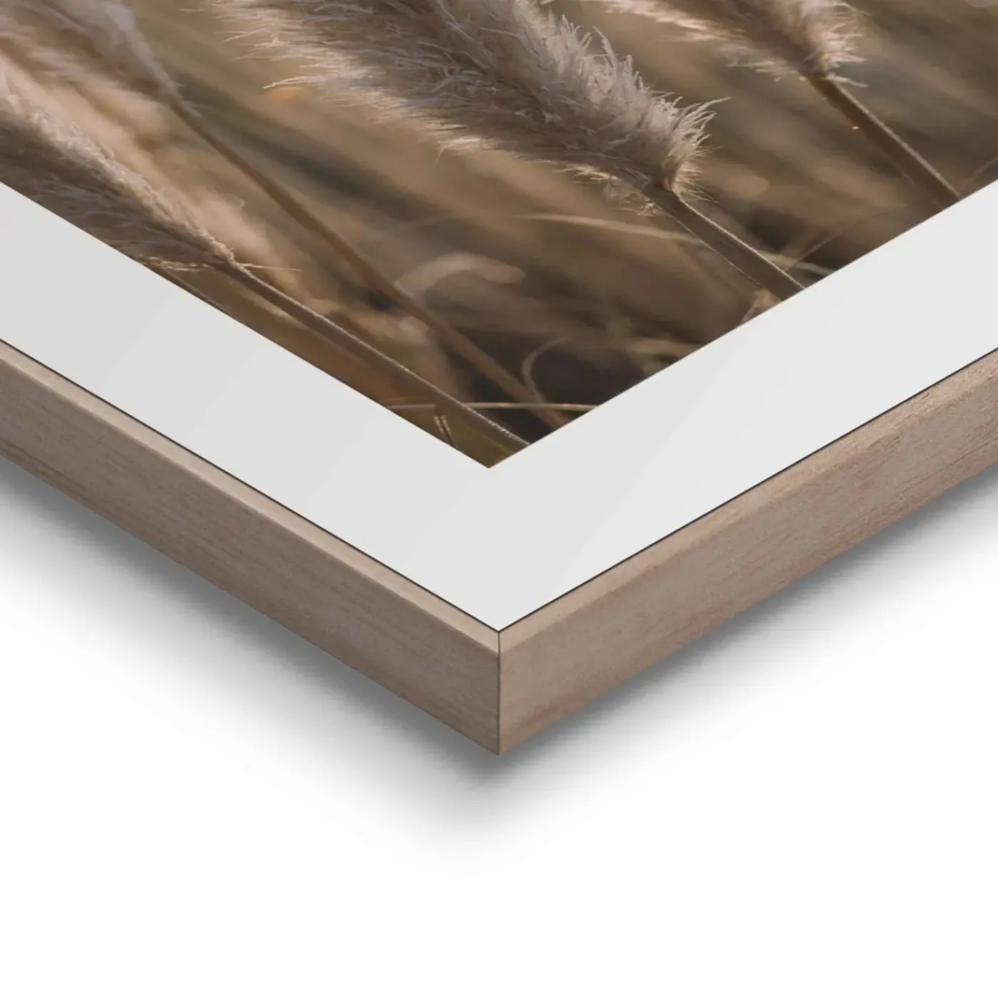 Overig Schilderij Pampas - 40x50 cm - Zand - Hout