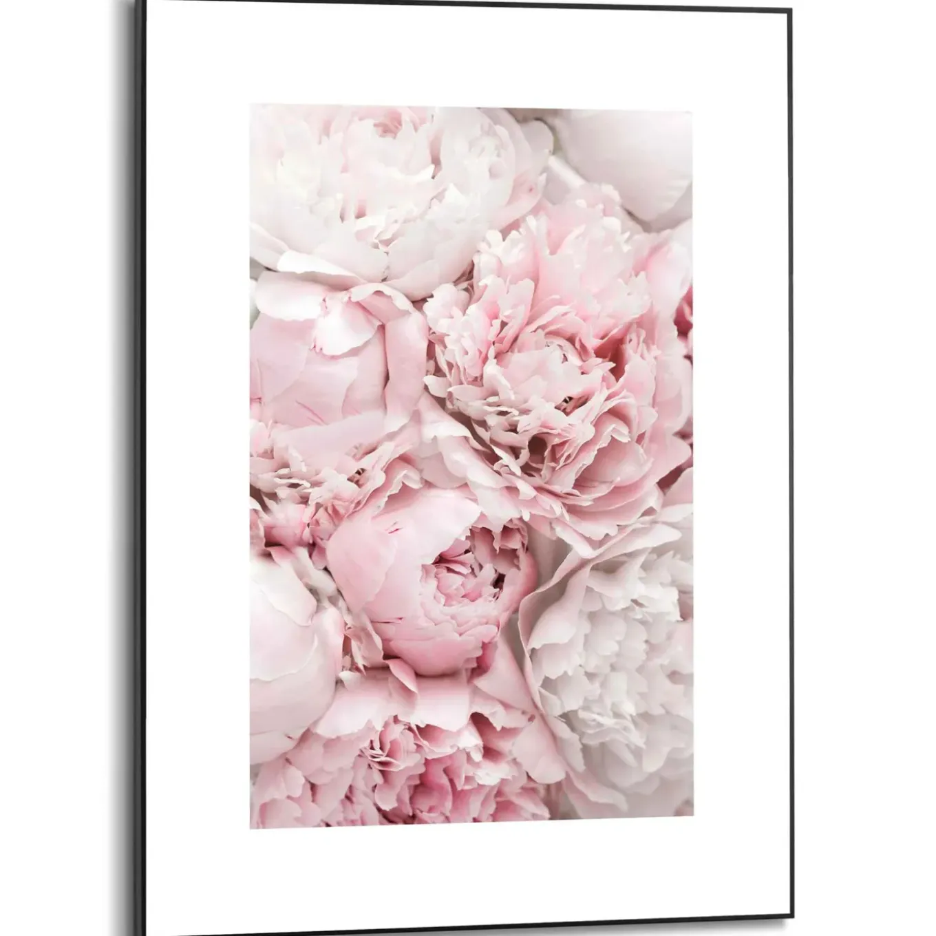Schilderij Pioenrozen - 50x70 cm - Roze - Hout