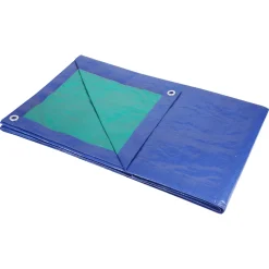 Sencys afdekzeil polyethyleen groen/blauw 130gr/m² 2x3m