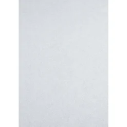Sencys Glasvliesbehang - Voorgeschilderd - 50mx100cm - 75g/m²