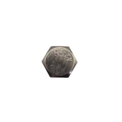 Sencys houtdraadbout M6x40mm per 25 r.v.s.