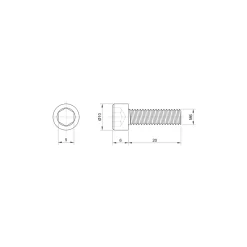 Sencys inbusbout CK M6x20mm per 10 gegalvaniseerd