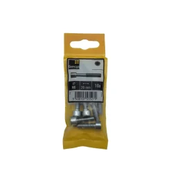 Sencys inbusbout CK M6x20mm per 10 gegalvaniseerd