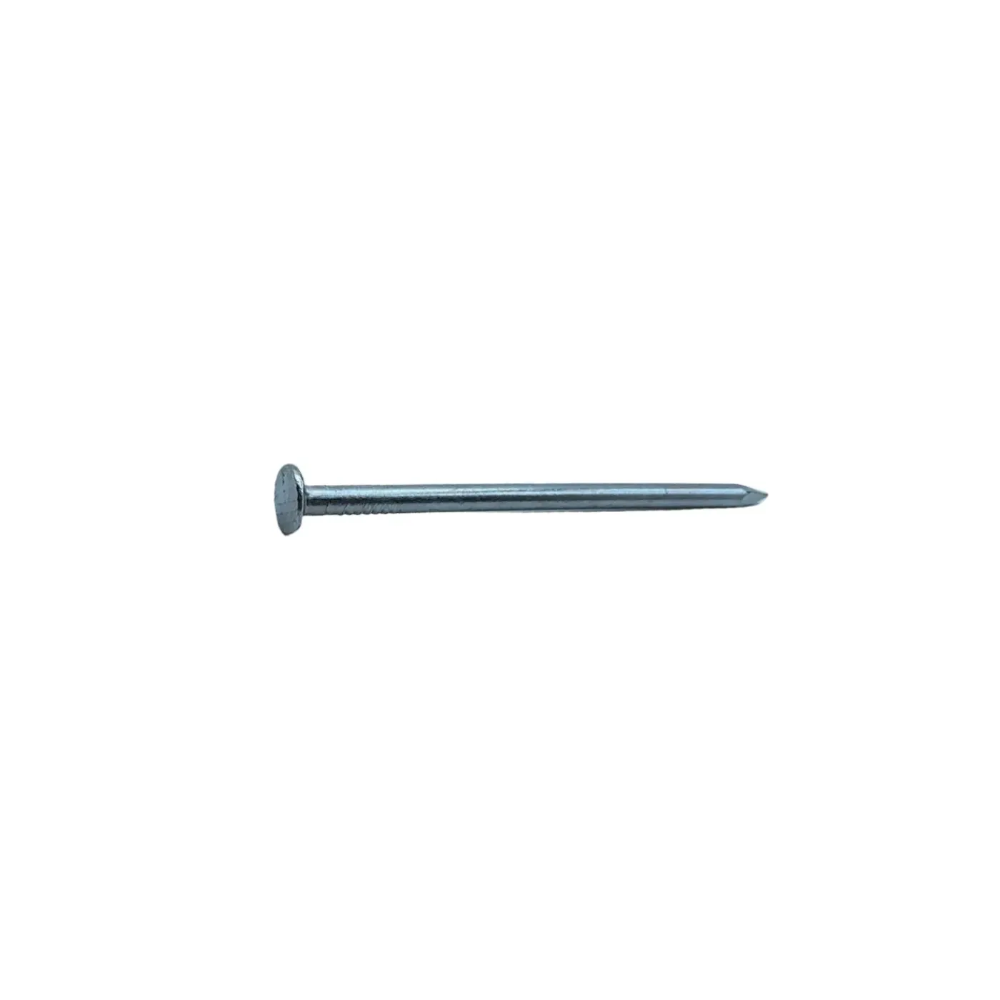 Sencys Spijkers met platte Kop Gegalvaniseerd 3x65mm - 20 stuks
