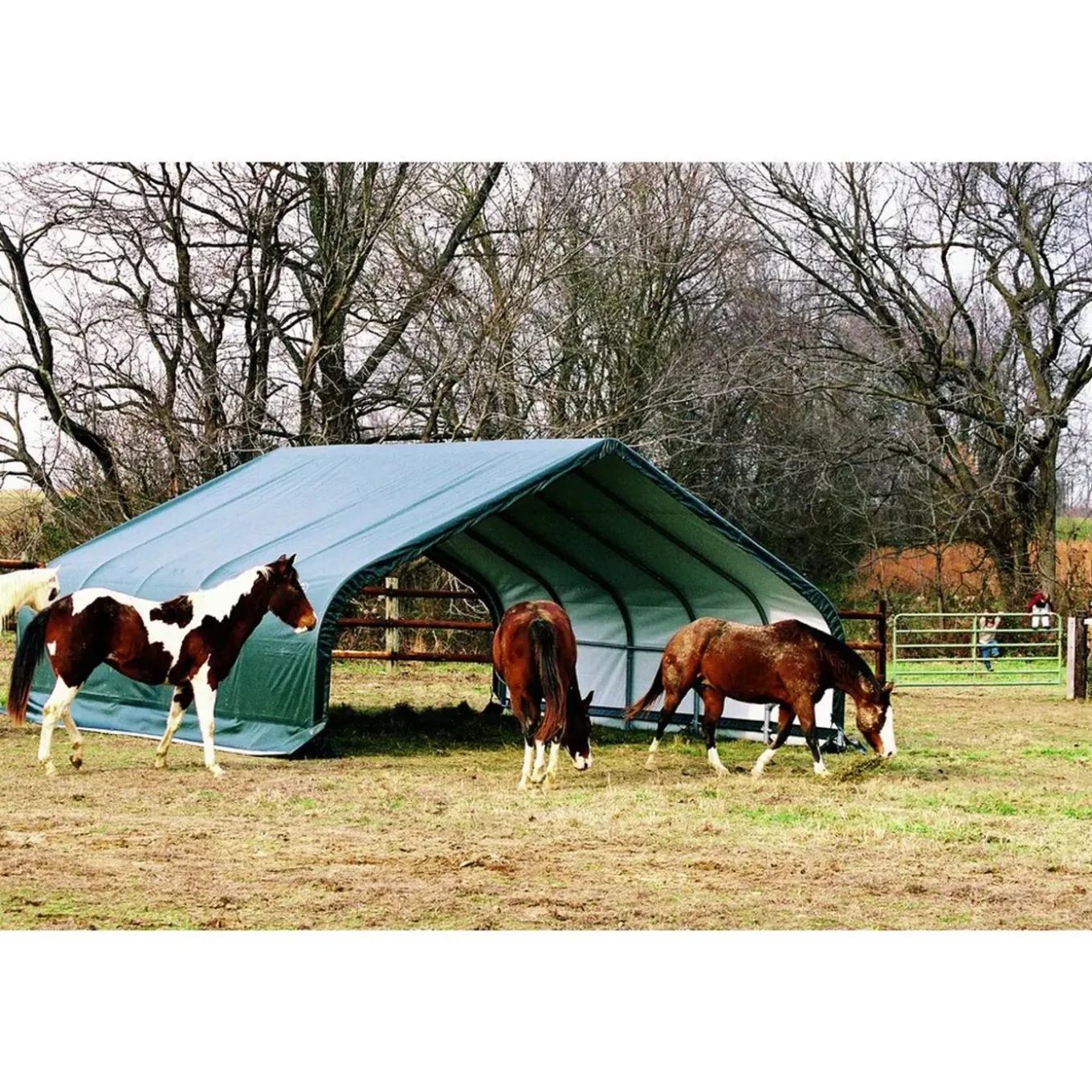 Shelterlogic Weidetent Sl58432 - 610x670x320 Cm - Groen