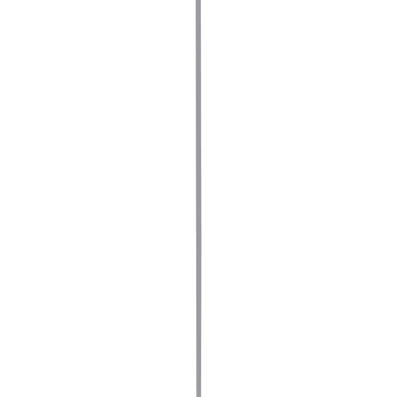 Slijtstrip kunststof RVS zelfklevend 2,5x40mm 260cm