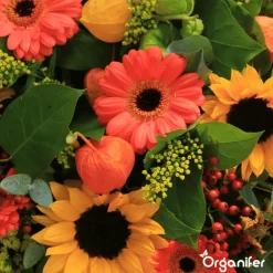 Organifer Snijbloemen Zadenpakket - 20 Soorten -