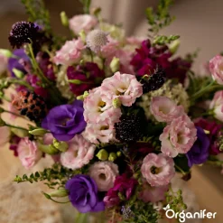 Organifer Snijbloemen Zadenpakket - 20 Soorten -