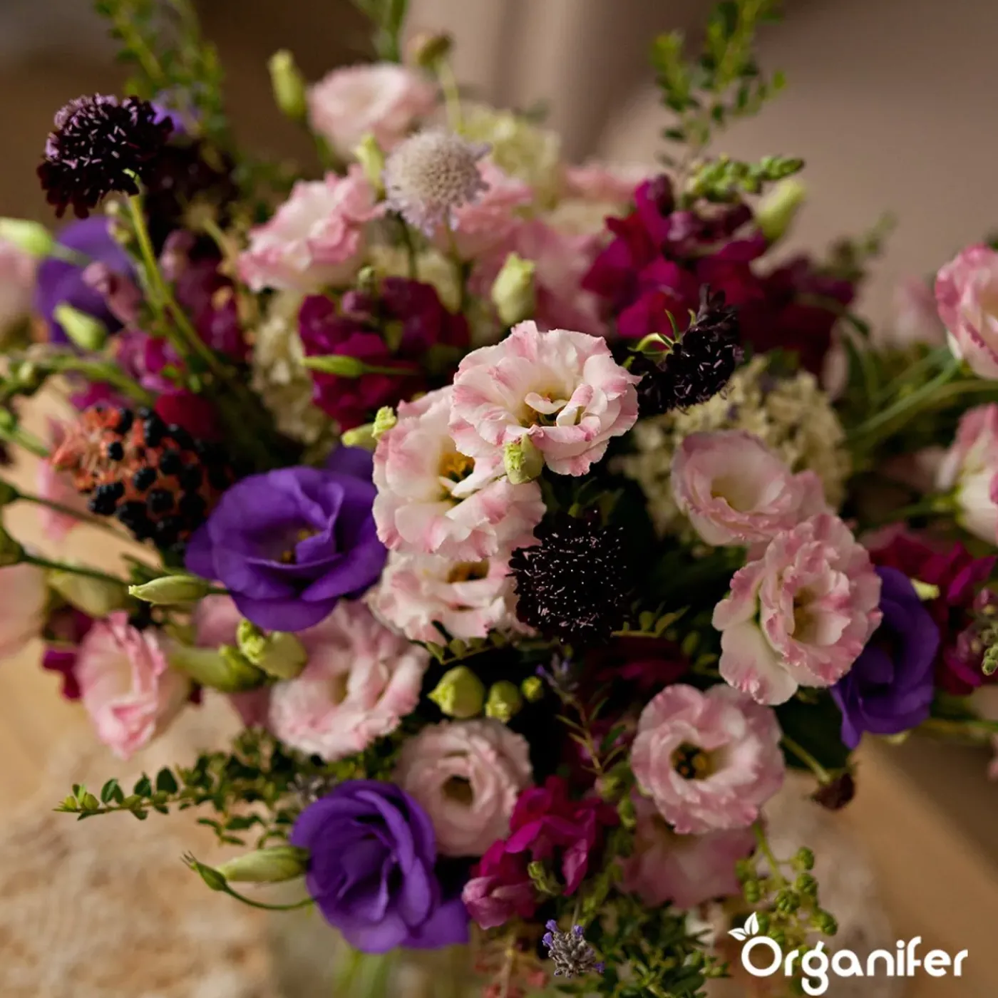Organifer Snijbloemen Zadenpakket - 20 Soorten -