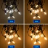 Silverline Solar Lichtsnoer Buiten - 8,5 Meter - 12 LED Lampen - Zonne-energie & Stekker - IP65 - Plug-In