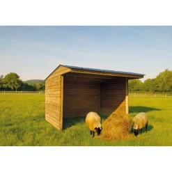 Solid Paardenstal Superia Shelter S7790 - Vurenhout - 40mm - 300x292cm
