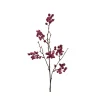Decoris Spray foam granaatappel 20x10x78cm