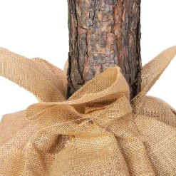 Springos Kunstkerstboom | Diamond Pine Op Stam | 180 cm | Zonder Verlichting