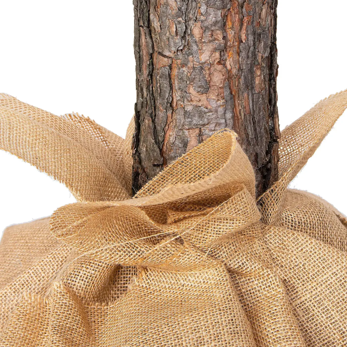 Springos Kunstkerstboom | Diamond Pine Op Stam | 180 cm | Zonder Verlichting