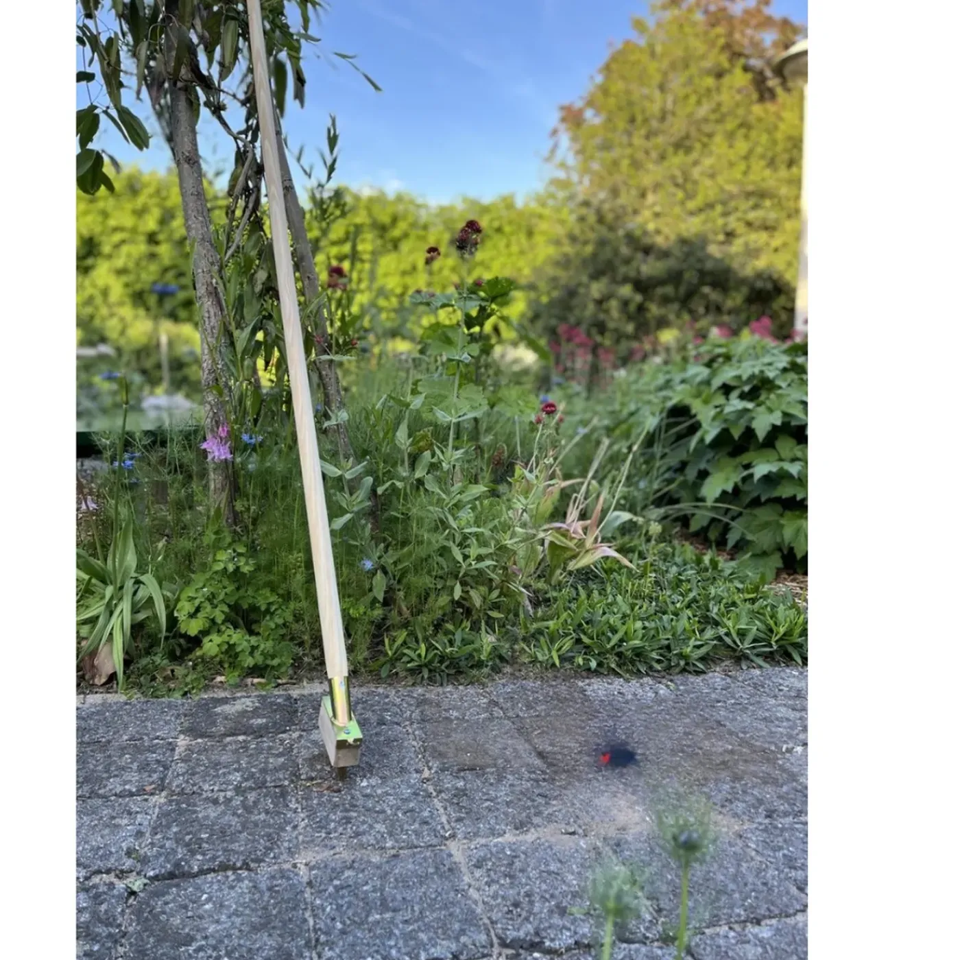 Synx Tools Voegenborstels onkruidborstel met steel 150 cm - Onkruidkrabber - Tuingereedschap