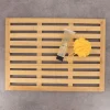 Tendance Badmat - Bamboe - Antislip - Douchemat - L62 X B45 Cm