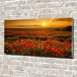 Tulup - Foto Op Glas - Klaproosveld - Rood - 140x70 Cm - Schilderij Op Glas