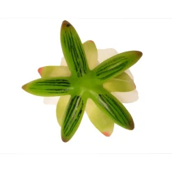 Ubbink Drijfbloem - Waterlelie - Crème - 16cm