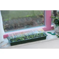 Ubbink Kweekbak Vensterbank - Kunststof - Transparant - 49 x 15,5 x 10 cm - Met Vakverdeling