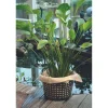 Ubbink waterplantmand rond Ø14x10cm