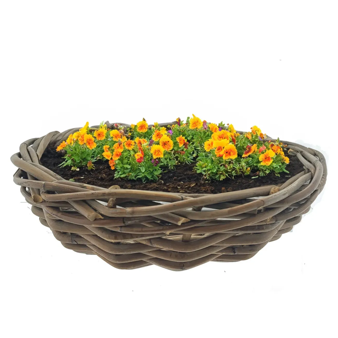 Van Der Leeden Terrasschaal -rotan Gevlochten - D41xh12 Cm - Mand