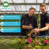 Vdvelde - Aarvederkruid Myriophyllum Rubricaule Vijver - 4 Planten Set Met Mand & Klei - Winterhard