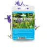 Vdvelde - Bloom Boost Vijverplanten Meststof 10 Tabletten - Voor Meer Bloei