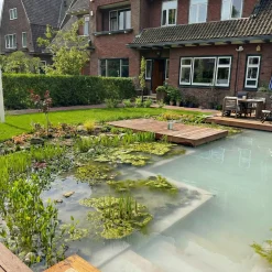 Vdvelde - Insta Clean Slibverwijderaar Tot 20.000l - Vijver - Vijverwater Helder