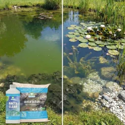 vdvelde - Pond Care Vijveronderhoud Tot 20.000l - Tegen Algen - Waterbehandeling