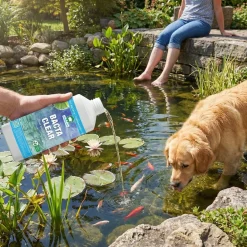 vdvelde - Vijverpakket Inheems 500-1250l - Witte Waterlelie & Zuurstofplanten Compleet - Winterhard
