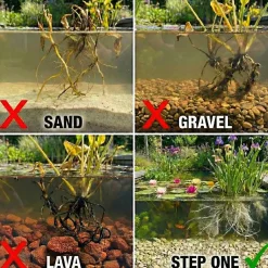 Vdvelde - Vijverpakket Rood 100-400l - Rode Waterlelie & Zuurstofplanten Compleetset Bio