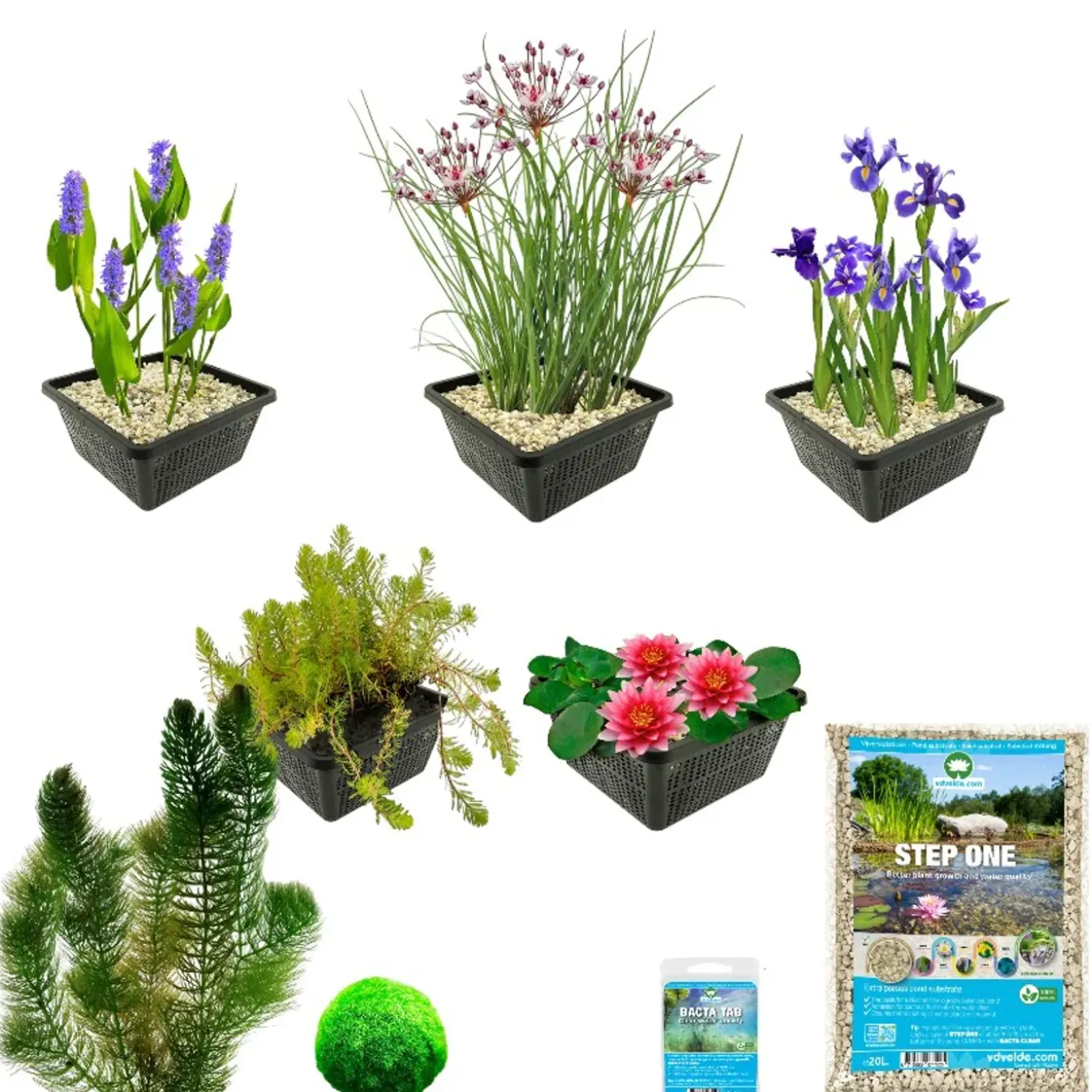 Vdvelde - Vijverpakket Rood 100-400l - Rode Waterlelie & Zuurstofplanten Compleetset Bio