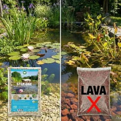 Vdvelde - Vijverpakket Rood 100-400l - Rode Waterlelie & Zuurstofplanten Compleetset Bio