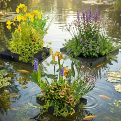 Vdvelde - Vijver Planteneiland Set 3-delig - 12 Waterplanten - Drijvend Eiland