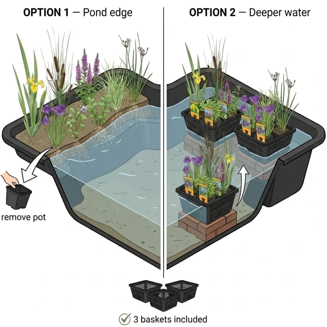 Vdvelde - Vijverplanten Verrassingsset - 12 Waterplanten Incl. 3 Vijvermanden