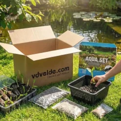 Vdvelde - Watermunt Mentha Aquatica Vijverplant - 4 Planten Compleetset Met Mand & Klei