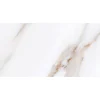 Overig Vloertegel Calacatta Gold - Marmerlook Goud - 32x62,5cm - 1m²