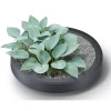 Waterform regenton PWV240G 240l grijs met plantenbak