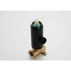 WEBO sanitair Webo Bidetset Met Handdouche Volledig Rvs Warm/koud (diverse Kleuren)