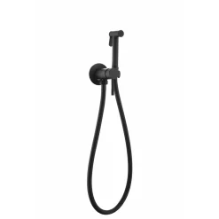 WEBO sanitair Webo Bidetset Met Handdouche Volledig Rvs Warm/koud (diverse Kleuren)